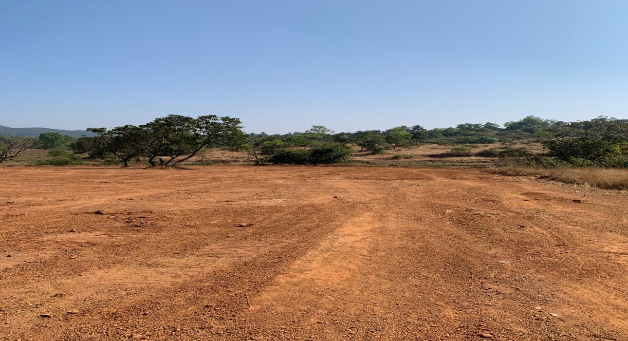 WhatsApp Image 2025-12-17 at 7.58.20 PM (1)