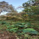 WhatsApp Image 2026-01-02 at 2.47.34 PM