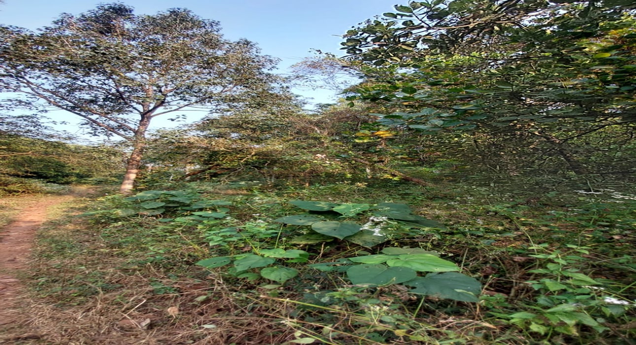 WhatsApp Image 2026-01-02 at 2.47.34 PM