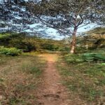 WhatsApp Image 2026-01-02 at 2.47.35 PM (1)